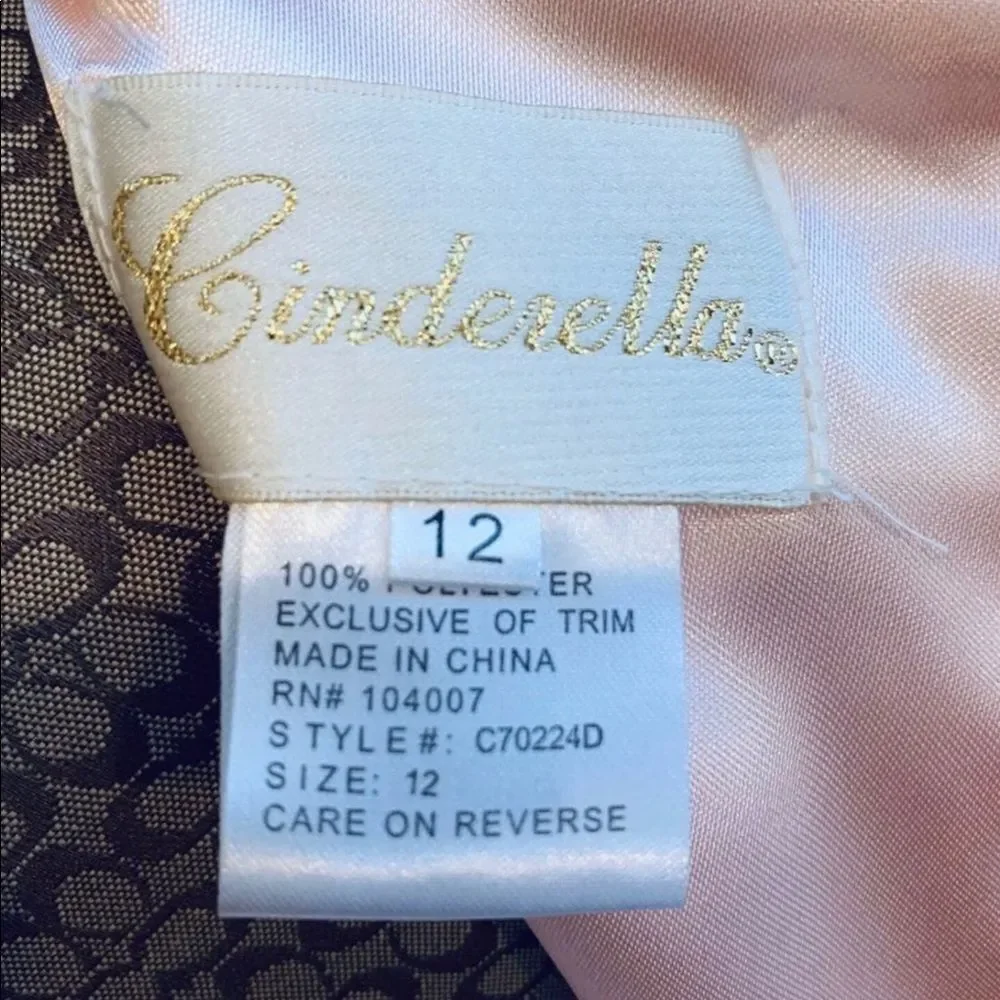 Cinderella Dress Size 12